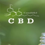 The Facts about CBD Oil for Pain Management