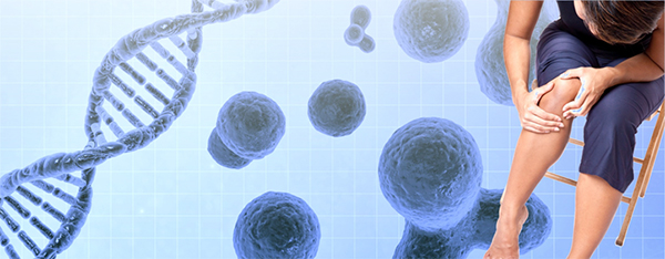 Knee Regenerative Medicine